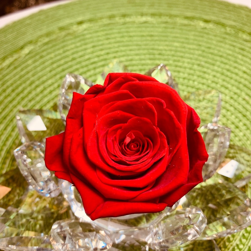 Meet your Posher, Destiny